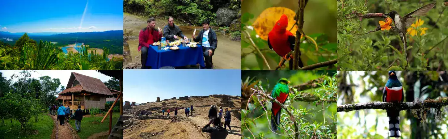 Zona Reservada de Manu 7 días y 6 noches - Local Trekkers Perú - Local Trekkers Peru